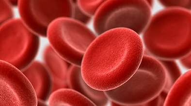 Wat is Lewende Bloedontleding - Mobile