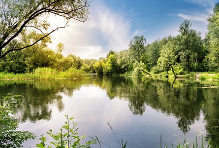 Palliative Care Calm Environment Desktop