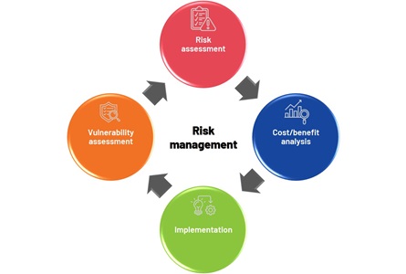 Risk management infographic