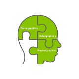 2765-Digital design-Psychographics-Pivotal puzzle piece-KF