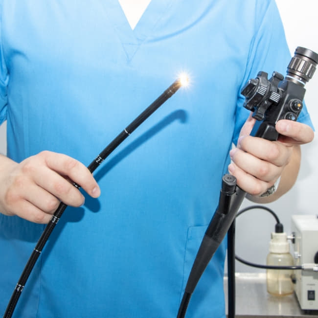 South-African history 1950s