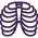 Radiologie, patologie en akute medisyne