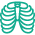 Specialised Radiology