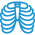 Gespesialiseerde radiologie