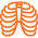 Gespesialiseerde radiologie