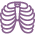 Gespesialiseerde radiologie